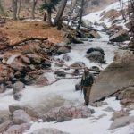 Capt Sajjan Singh Malik